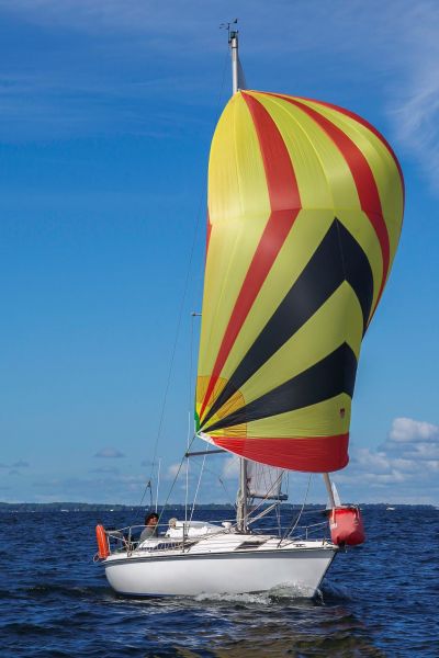 Trophée – photo 76