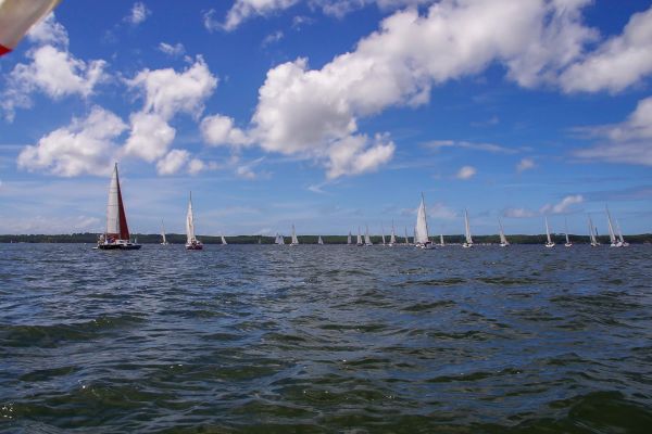 Trophée – photo 4