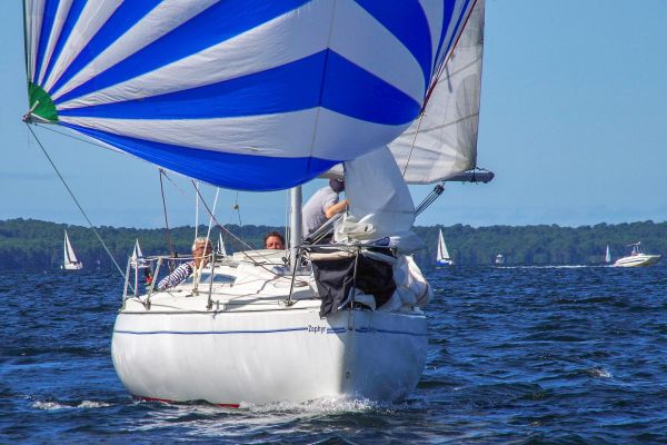 Trophée – photo 47