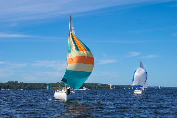 Trophée – photo 65