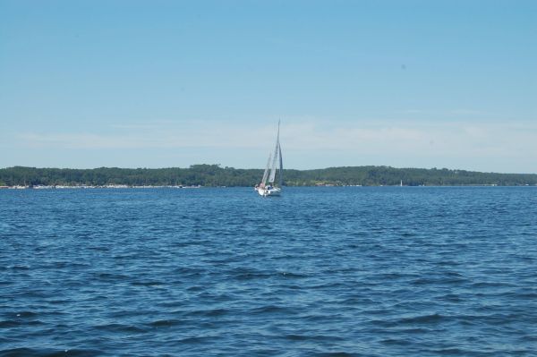 20 juin – photo 8