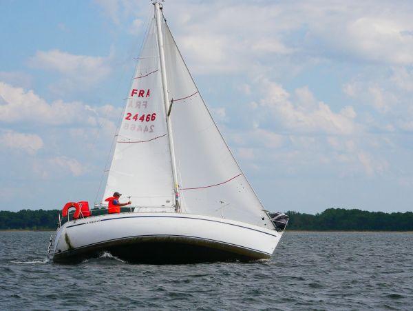 Championnat d'automne 1 – photo 6