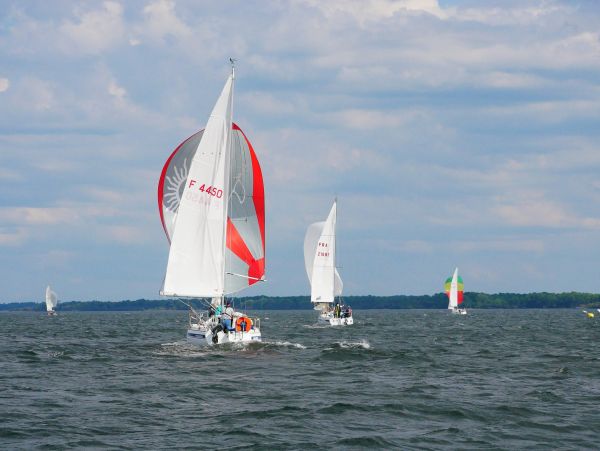Championnat d'automne 1 – photo 14