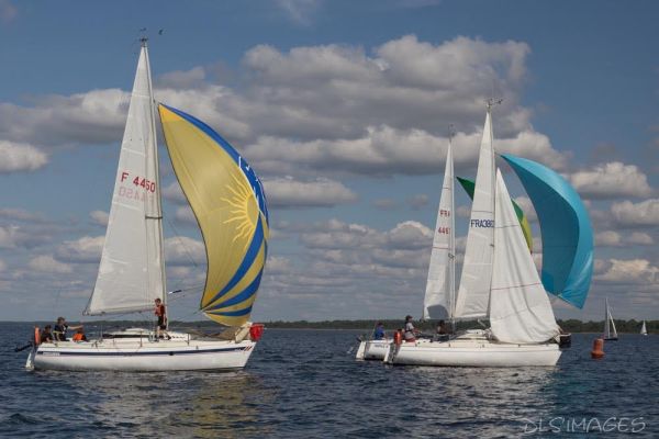 Régate du jeune régatier et du débutant – photo 242