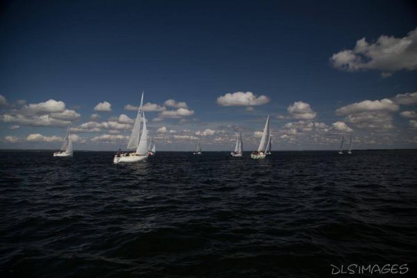 Régate du jeune régatier et du débutant – photo 96