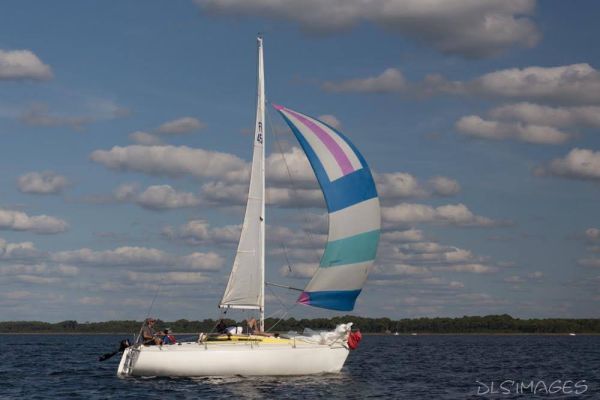 Régate du jeune régatier et du débutant – photo 247