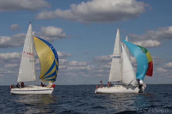 Régate du jeune régatier et du débutant – photo 240
