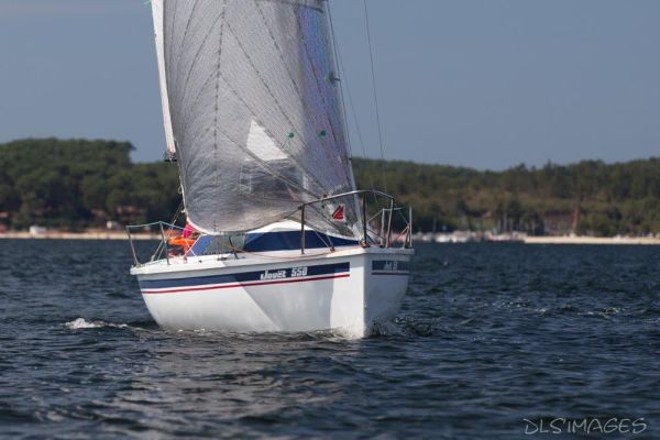 Régate du jeune régatier et du débutant – photo 146
