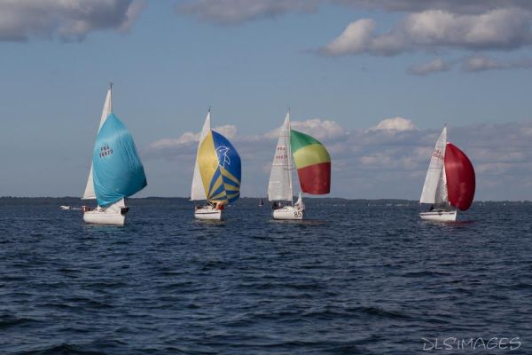 Régate du jeune régatier et du débutant – photo 237