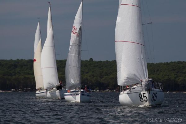 Régate du jeune régatier et du débutant – photo 139