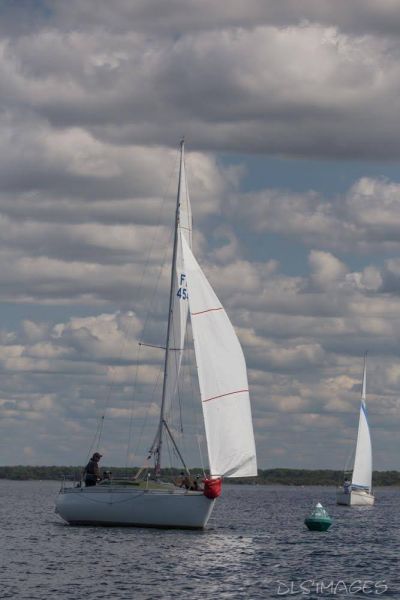 Régate du jeune régatier et du débutant – photo 217