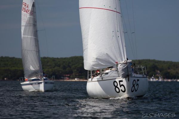 Régate du jeune régatier et du débutant – photo 143