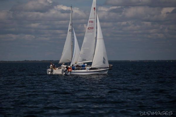 Régate du jeune régatier et du débutant – photo 98