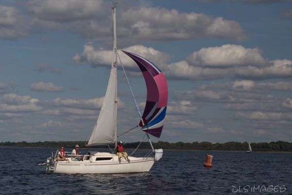 Régate du jeune régatier et du débutant – photo 246