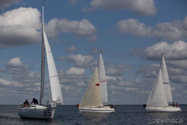 Régate du jeune régatier et du débutant – photo 196