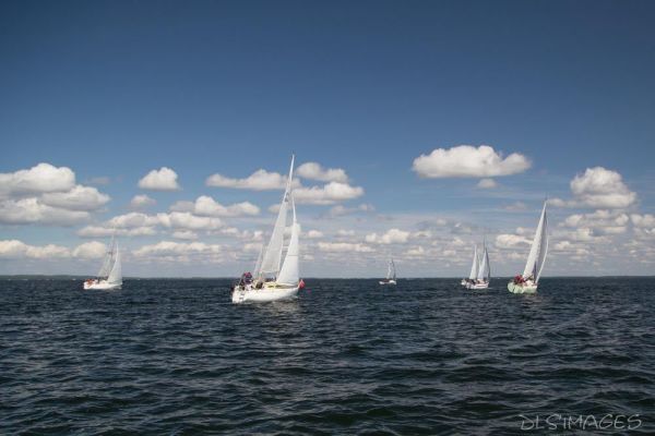 Régate du jeune régatier et du débutant – photo 97