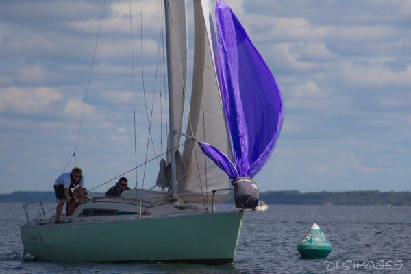 Régate du jeune régatier et du débutant – photo 215