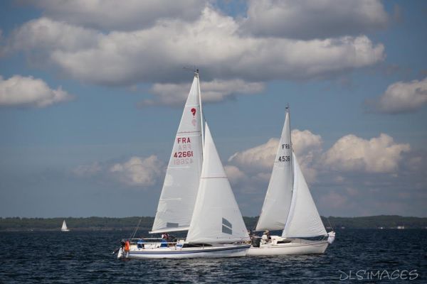 Régate du jeune régatier et du débutant – photo 99
