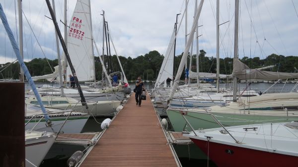La solitaire – photo 6