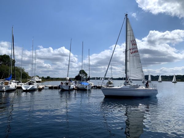 La solitaire – photo 26