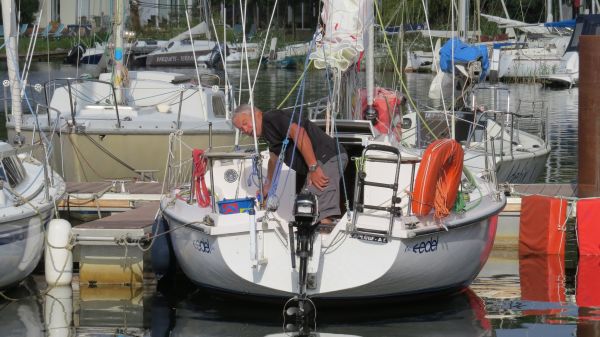 La solitaire – photo 3