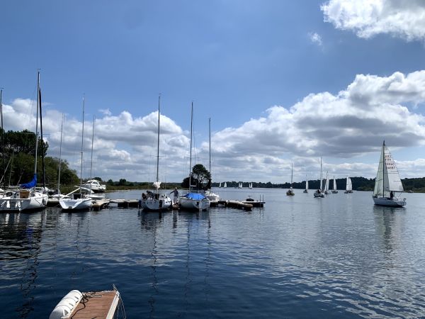 La solitaire – photo 28