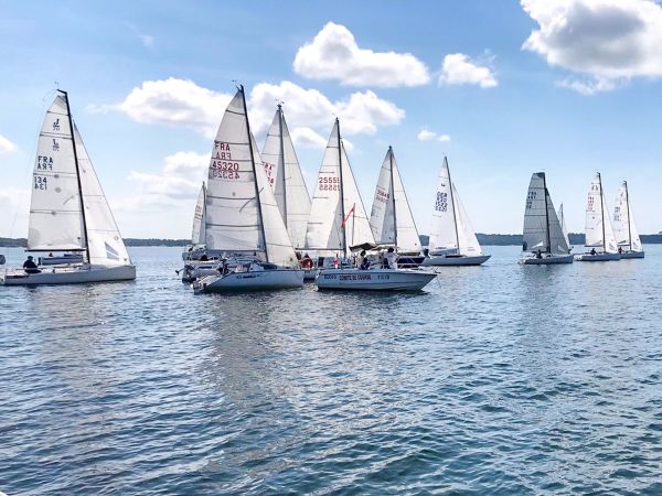 La solitaire – photo 3