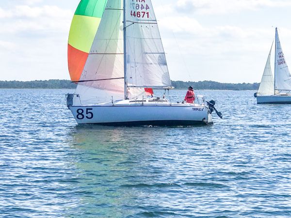 La solitaire – photo 13