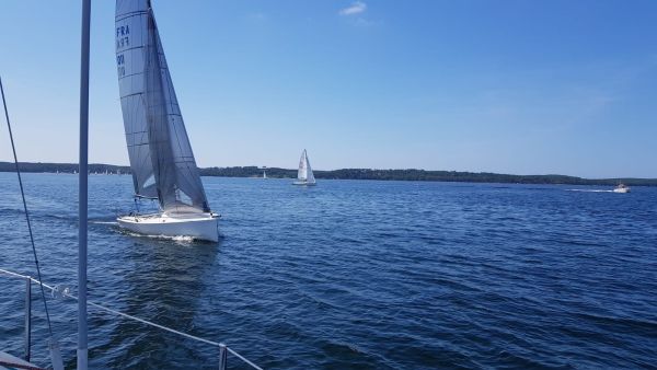 La solitaire – photo 26
