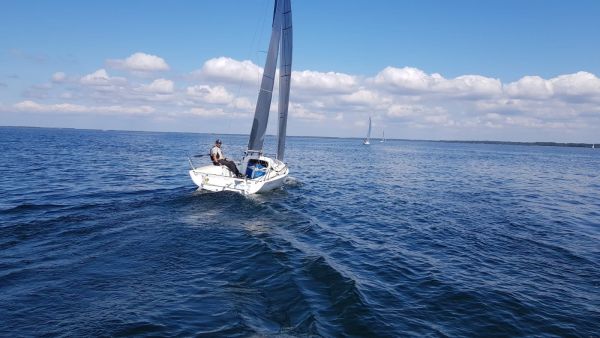La solitaire – photo 18