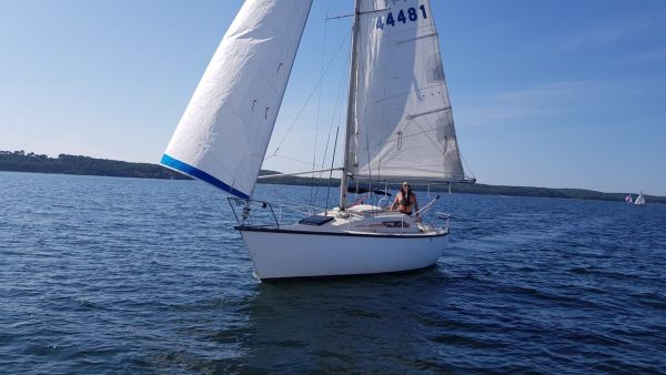 La solitaire – photo 21