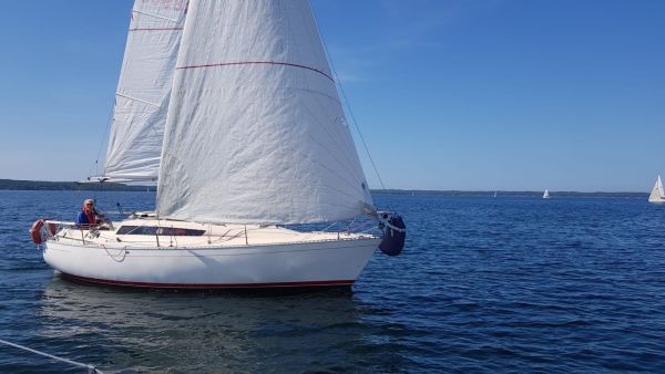 La solitaire – photo 23