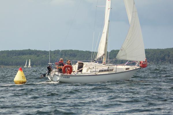 La président – photo 35