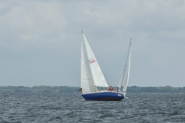 Les régates ducom pierre & fils – photo 97