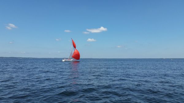 Femme à la barre – photo 16