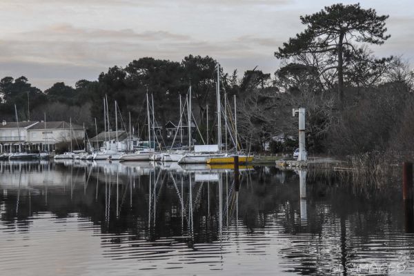 Chantier des pontons – photo 45