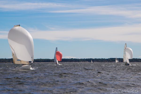 YCIB TdF – photo 52