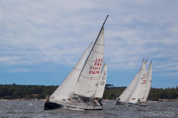 YCIB TdF – photo 31