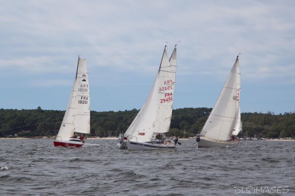 YCIB TdF – photo 32