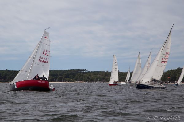 YCIB TdF – photo 29