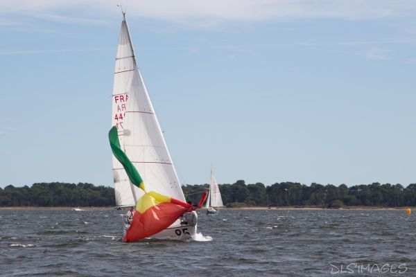 YCIB TdF – photo 43