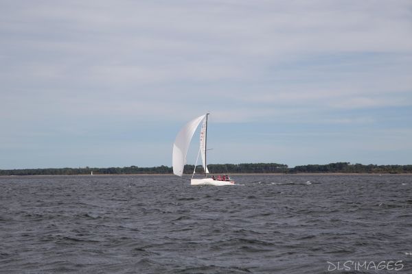 YCIB TdF – photo 37