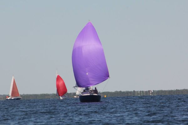 Journée des jeunes régatiers – photo 37