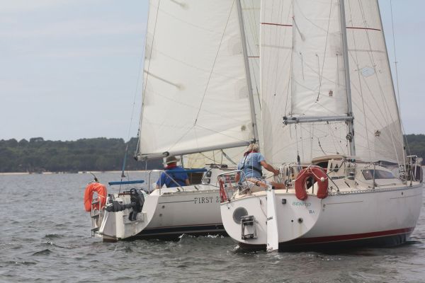 La solitaire – photo 11