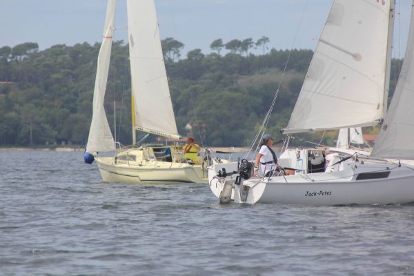 La solitaire – photo 14