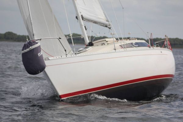 La solitaire – photo 16