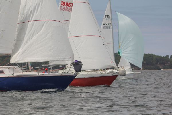 La solitaire – photo 31