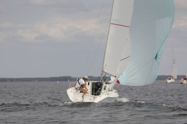 La solitaire – photo 33