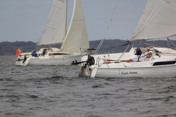 La solitaire – photo 29