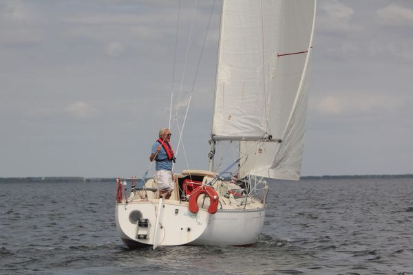 La solitaire – photo 37